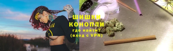 первитин Богданович