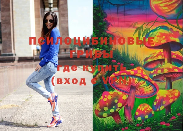 сатива Богородицк