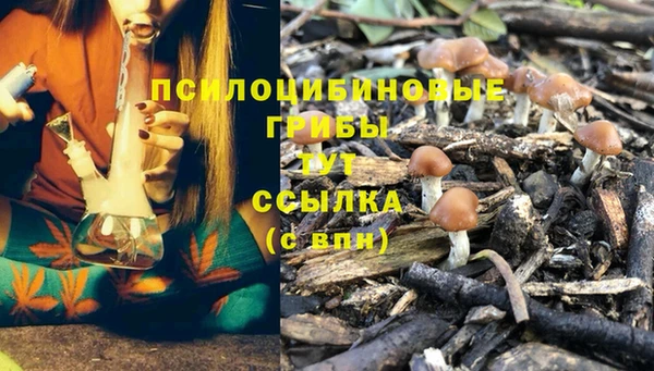 первитин Богданович