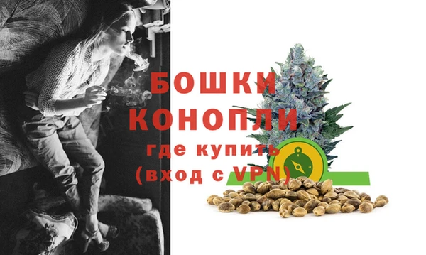 прущие грибы Россошь